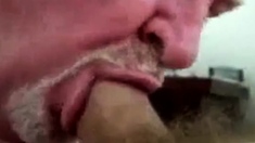 Daddy Bear Sucking Cock