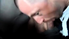 sucking a cock in taxi