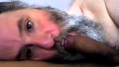 Bearded Daddy Suck And Swallow