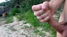 Getting my cock sucked on beach