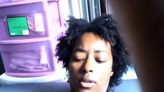 Negra Peluda