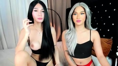 Shemale tranny amateur rammed in butt