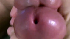 Check amateur straighty turn gay