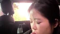 Petite Amateur Asian Blowjob