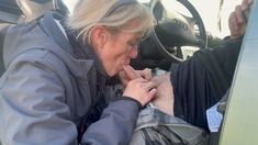BLOWJOB IN THE CAR - I WANT TO SUCK YOUR COCK HERE AND NOW,